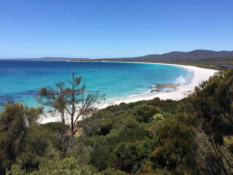 Holland House Bay Of Fires - Inverell Accommodation 15