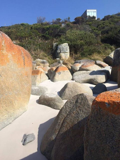 Holland House Bay Of Fires - Inverell Accommodation 5