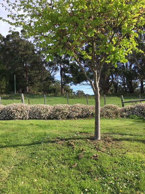 Nextdoor@portarthur - Inverell Accommodation 17