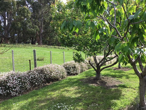 Nextdoor@portarthur - Inverell Accommodation 18