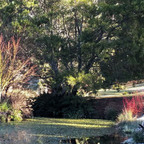 MaraPonds - Inverell Accommodation 9