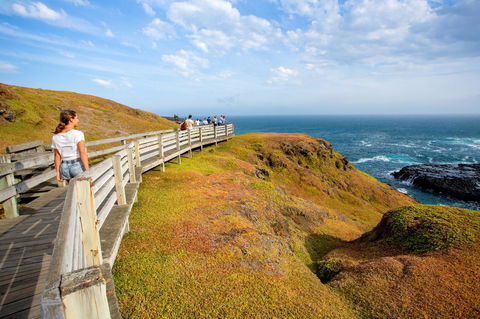 BIG4 Ingenia Holidays Phillip Island - Inverell Accommodation 19