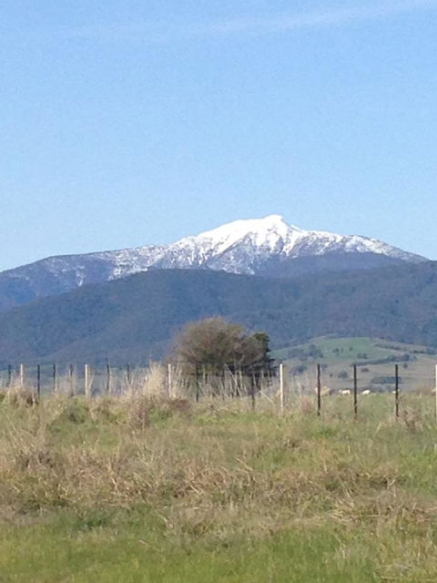 High Country Holiday Park - Inverell Accommodation 34