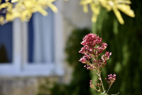 Villa Mallorca - Inverell Accommodation 28