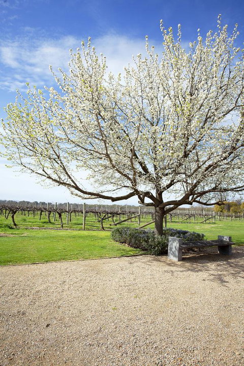 Lancemore Milawa - Inverell Accommodation 12