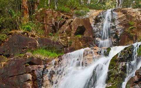 Marysville Caravan And Holiday Park - Inverell Accommodation 37