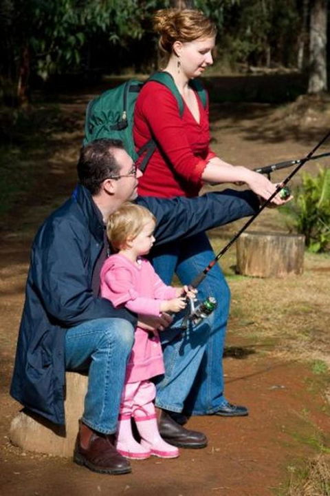 Marysville Caravan And Holiday Park - Inverell Accommodation 22