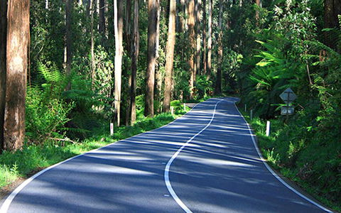 Marysville Caravan And Holiday Park - Inverell Accommodation 40