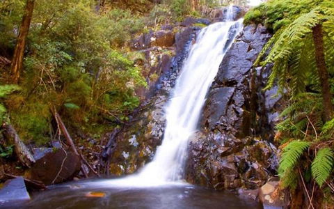Marysville Caravan And Holiday Park - Inverell Accommodation 32