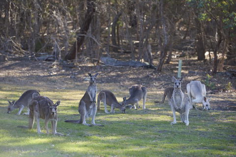 Yering Gorge Cottages - Inverell Accommodation 14