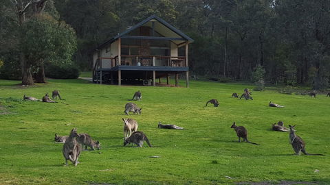 Yering Gorge Cottages - Inverell Accommodation 6