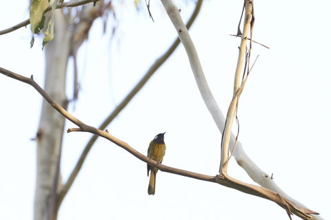 Yering Gorge Cottages - Inverell Accommodation 20