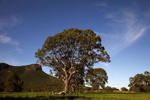 Dunkeld Studio Accommodation - Inverell Accommodation 23