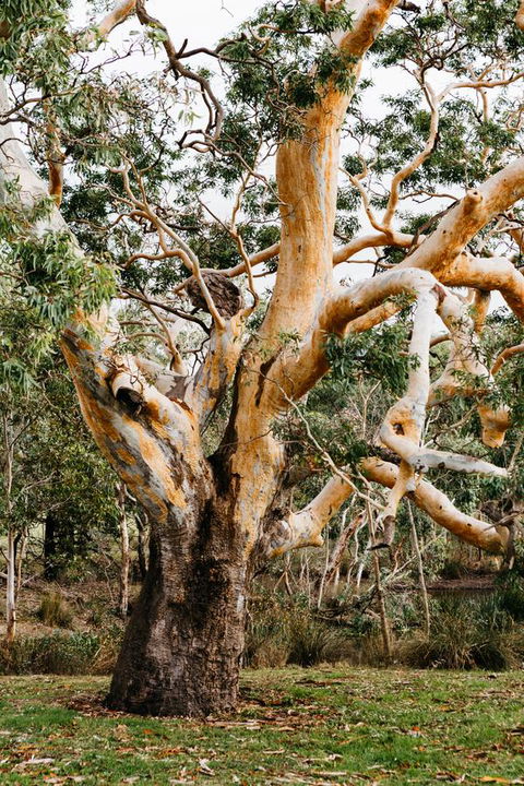 Dunkeld Studio Accommodation - Inverell Accommodation 22