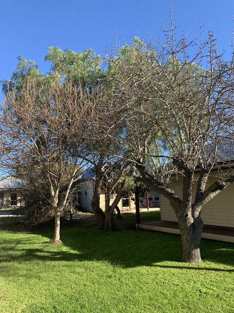 Dunkeld Studio Accommodation - Inverell Accommodation 4