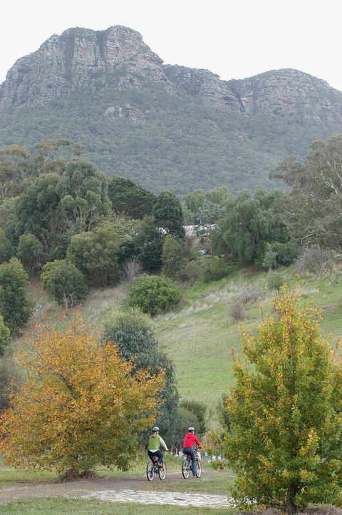 Dunkeld Studio Accommodation - Inverell Accommodation 21