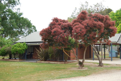 Greenvale Holiday Units - Inverell Accommodation 9