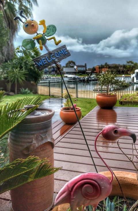 Waterfront Retreat - Inverell Accommodation 5
