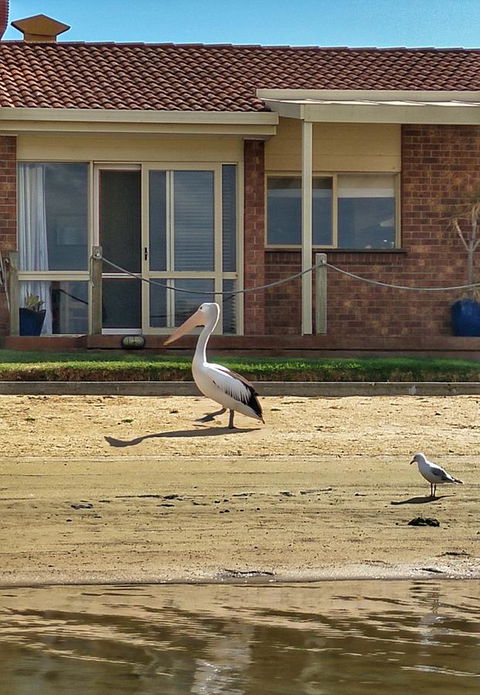 Waterfront Retreat - Inverell Accommodation 25