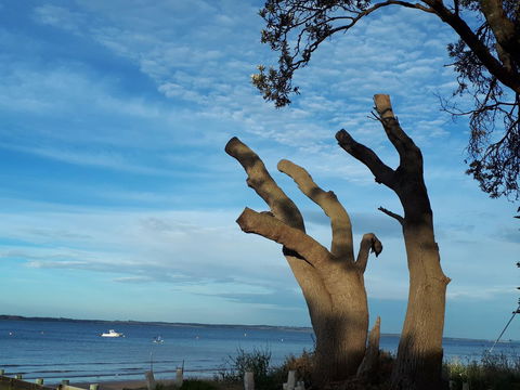 Apartments In Phillip Island Towers - Block C - Inverell Accommodation 10