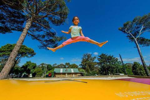 BIG4 Castlemaine Gardens - Inverell Accommodation 21