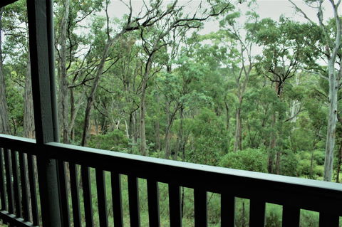 Tangenong Cottages - Inverell Accommodation 12