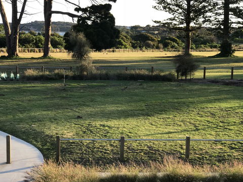 Bunya By The Sea - Inverell Accommodation 3