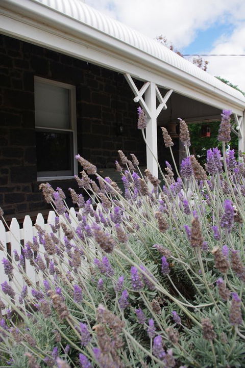Little River Bed And Breakfast - Inverell Accommodation 30