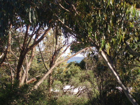 Aloha Ha Phillip Island - Inverell Accommodation 24