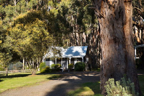 Bodhi Daylesford - Inverell Accommodation 8