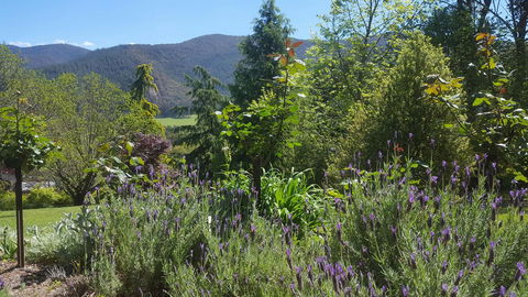 Abbys Cottages Bright - Inverell Accommodation 33