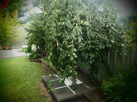 Azen Haven - Inverell Accommodation 12
