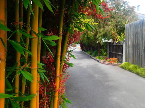 Azen Haven - Inverell Accommodation 14