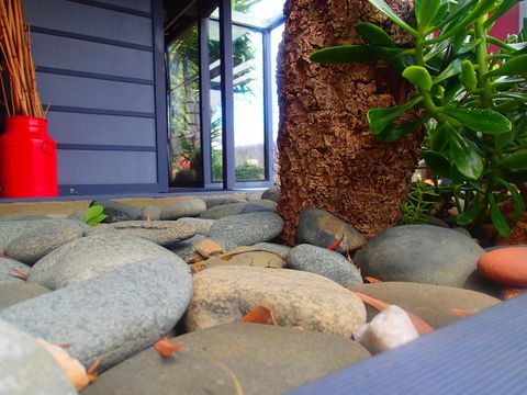 Azen Haven - Inverell Accommodation 11