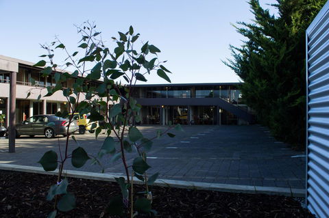 The Olive Tree Motel - Inverell Accommodation 25