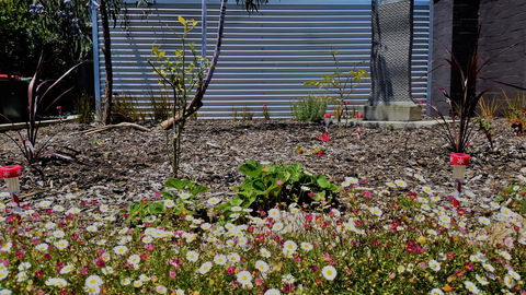The Olive Tree Motel - Inverell Accommodation 16