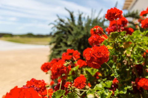 Cottages For Couples - Inverell Accommodation 13