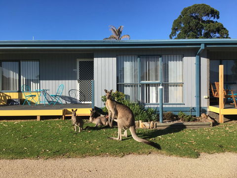 Lakeside At Mallacoota - Inverell Accommodation 15