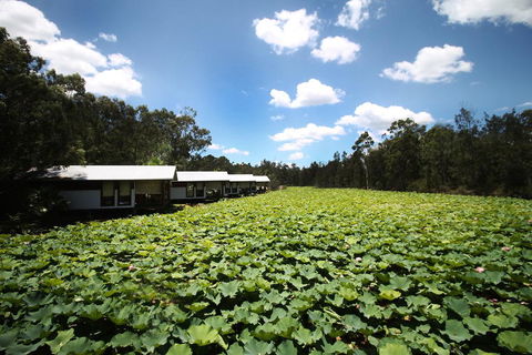 The Boathouses At Leaves & Fishes - Inverell Accommodation 0