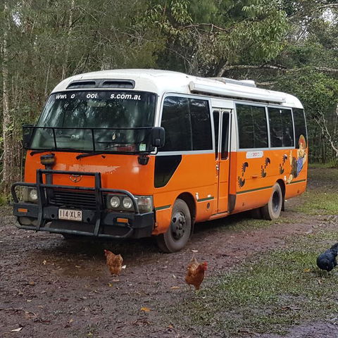 The Cabin - Inverell Accommodation 3