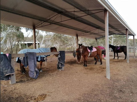 The Saddle Camp Tiny House, Braidwood - Inverell Accommodation 1