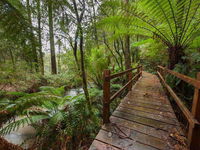 Book Tanybryn Accommodation Vacations Inverell Accommodation Inverell Accommodation