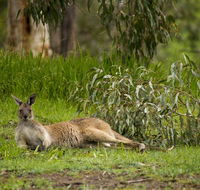 The Stirling Golf Club - Inverell Accommodation