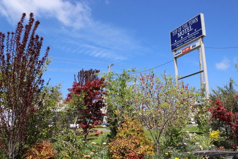 Top Of The Town Motel - Inverell Accommodation 1