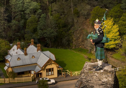 Walhalla Wild Cherry - Inverell Accommodation 2