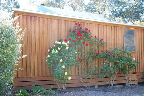 Bluegum Ridge Cottages - Inverell Accommodation 23