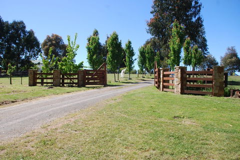 Bluegum Ridge Cottages - Inverell Accommodation 2