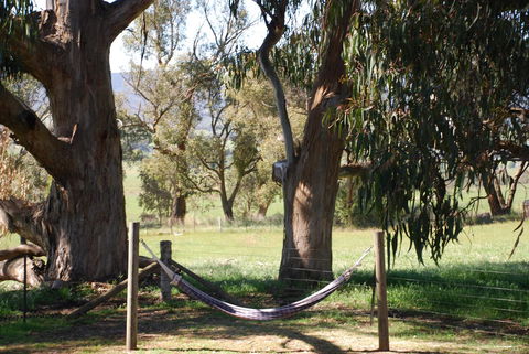 Bluegum Ridge Cottages - Inverell Accommodation 28