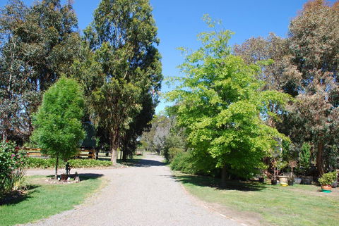 Bluegum Ridge Cottages - Inverell Accommodation 5