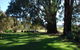 Bluegum Ridge Cottages - thumb 29